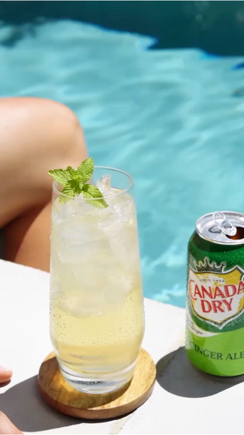 Mojito Ginger Splash Recipe Canada Dry