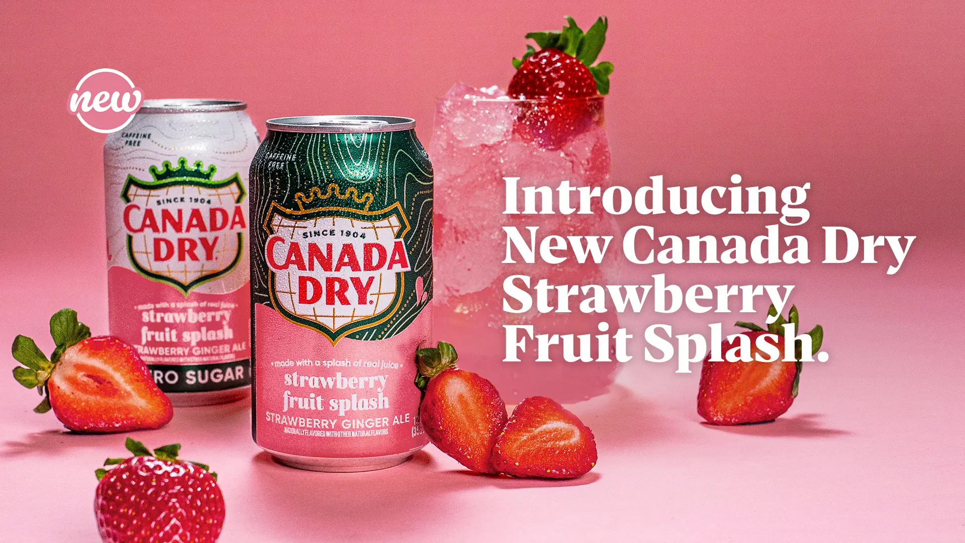 Ginger Ales, Seltzer Waters, Sodas | Canada Dry